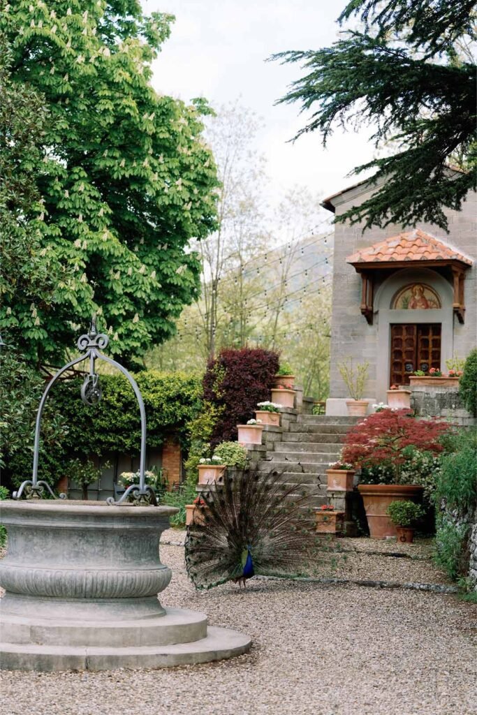 A peacock stands near the well in the courtyard of the villa